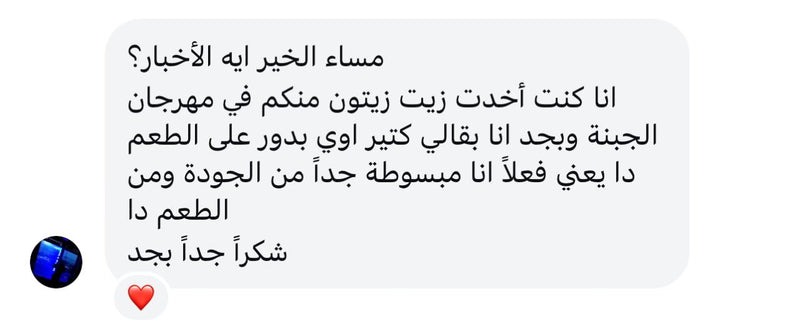 WhatsApp review 13