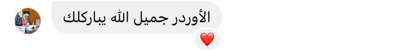 WhatsApp review 15